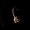 Skull Hoop Earring 14k gold